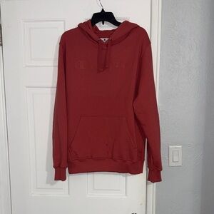 Champion Men's Brick Red Hoodie